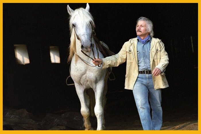 Михай Ермолаевич Волонтир.