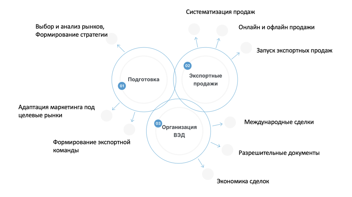 Дорожная карта экспортного проекта | OUTVED | Дзен