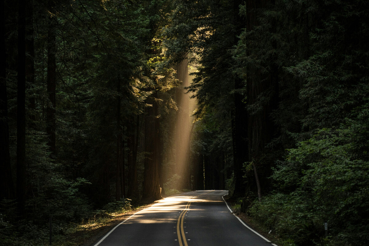 unsplash