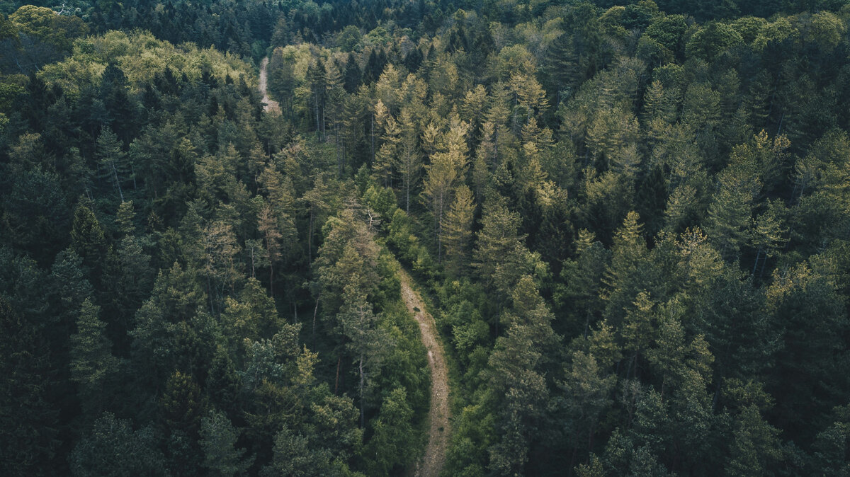 unsplash