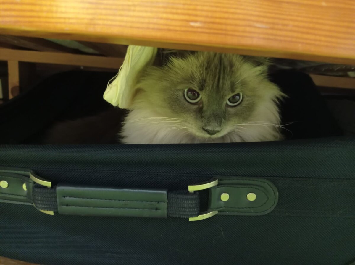 Готовимся к полету