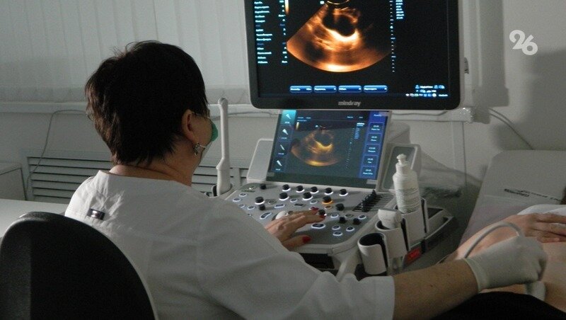      Фото: Юлия Яковенко / / ИА «Победа26»