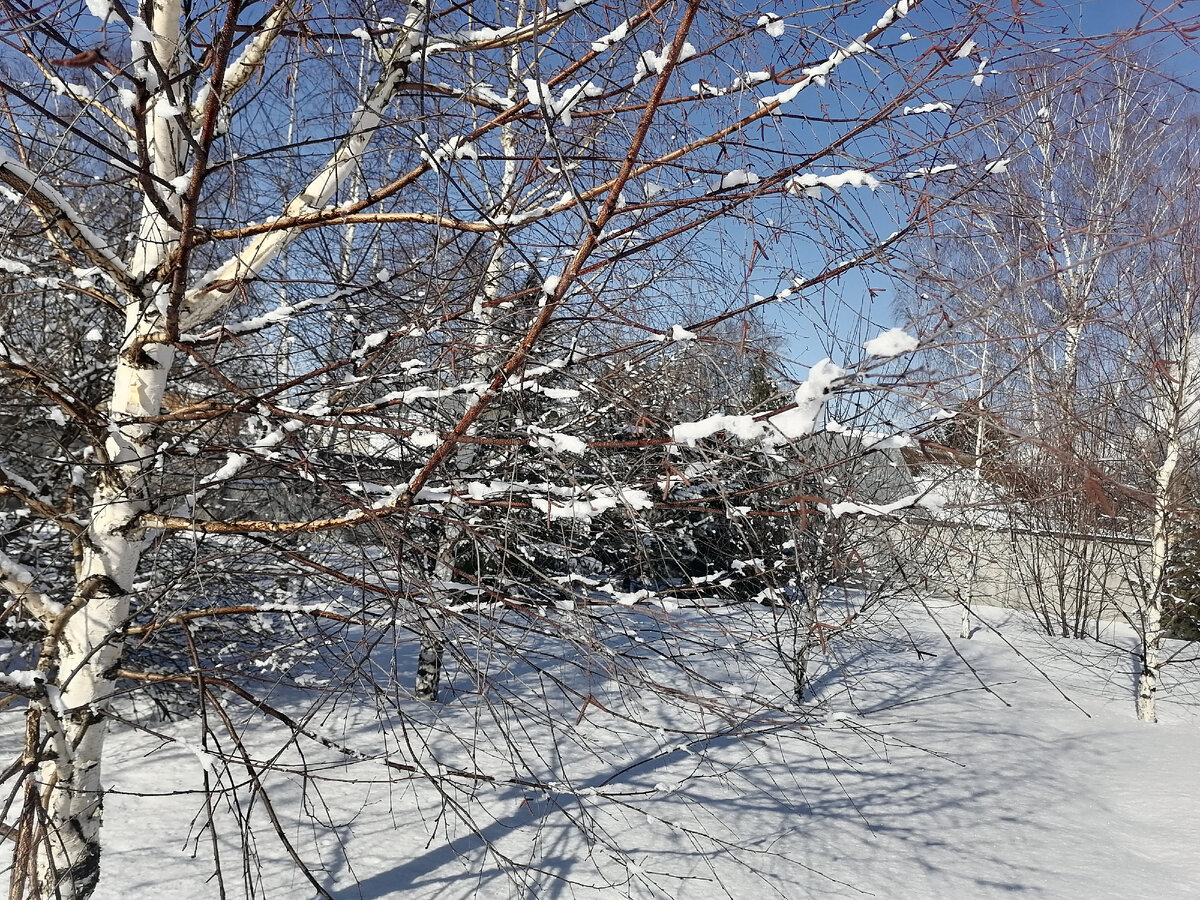 Вообще-то вчера было красиво