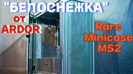 Белоснежный корпус Ardor Rare Minicase MS2 - подробный обзор