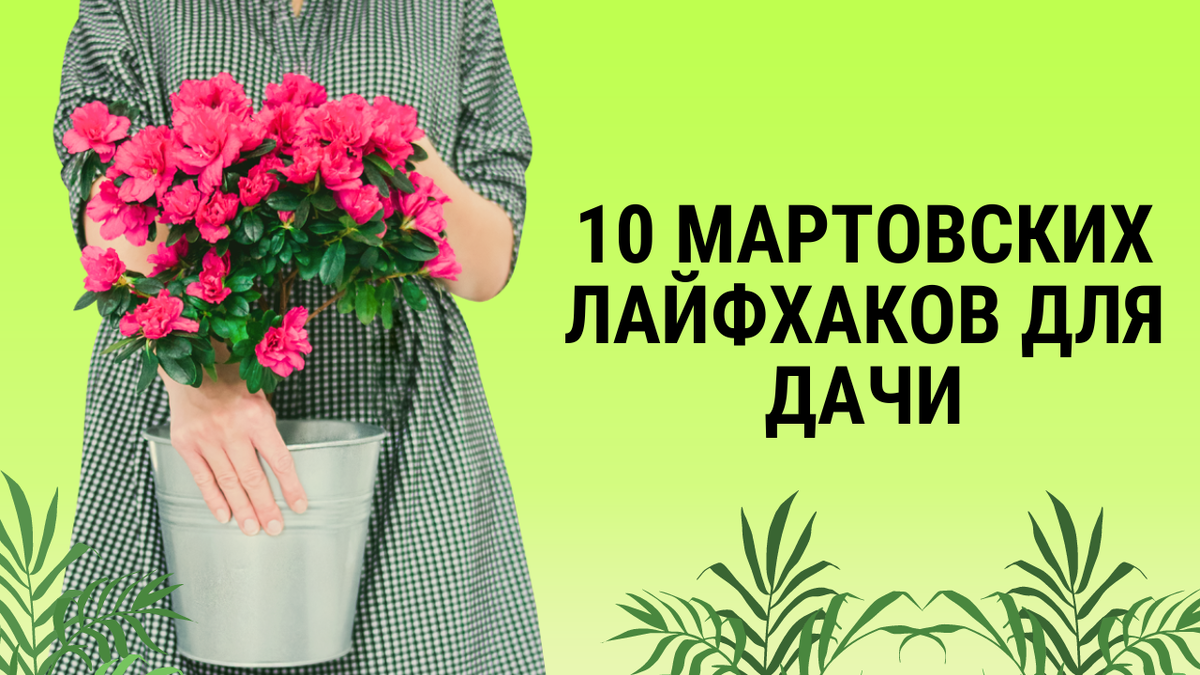 10 мартовских лайфхаков для дачи