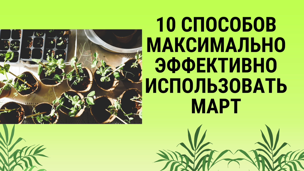 10 способов максимально эффективно использовать март