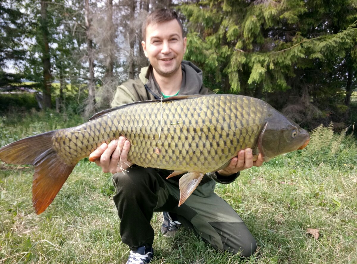 Карп весом 7 кг, один из первых трофеев, когда я начал заниматься сталкингом.