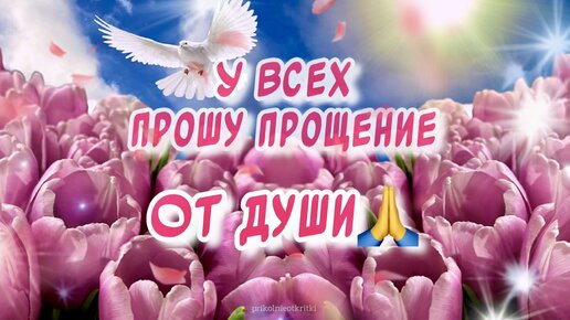 Красивое поздравление для друзей С Прощенным Воскресеньем от души 🙏