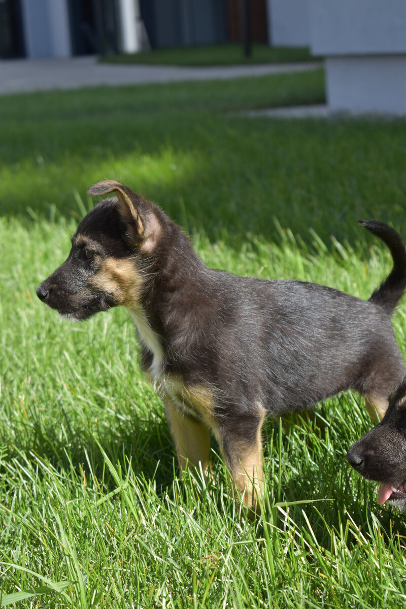 2 сентября 2023 г. Керри