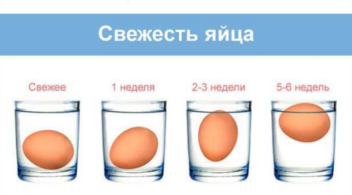 Тухлое яйцо всплывает или тонет. Как определить свежесть куриного яйца. Свежее яйцо всплывает в воде. Как узнать свежесть яиц. Свежее яйцо