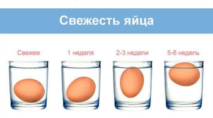 Как определить свежесть куриного яйца. Свежее яйцо всплывает в воде. Как узнать свежесть яиц. Свежее яйцо.