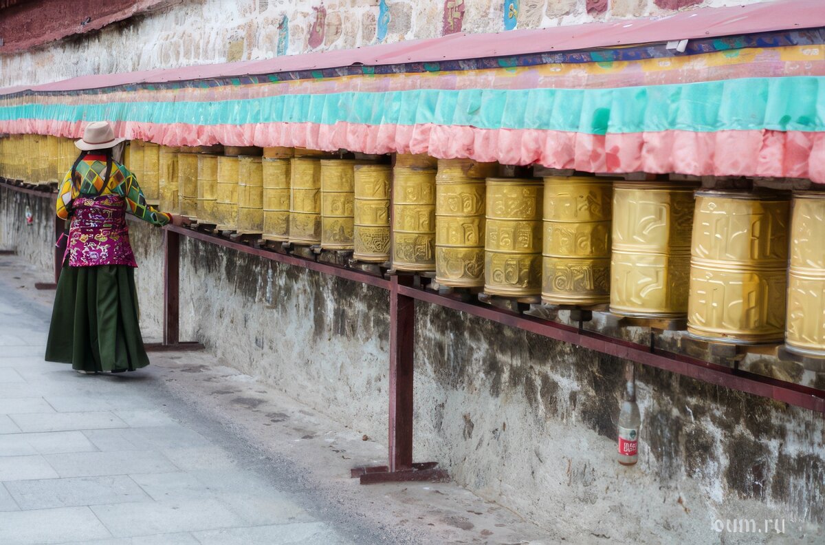 Картинка из свободных источников интернета 