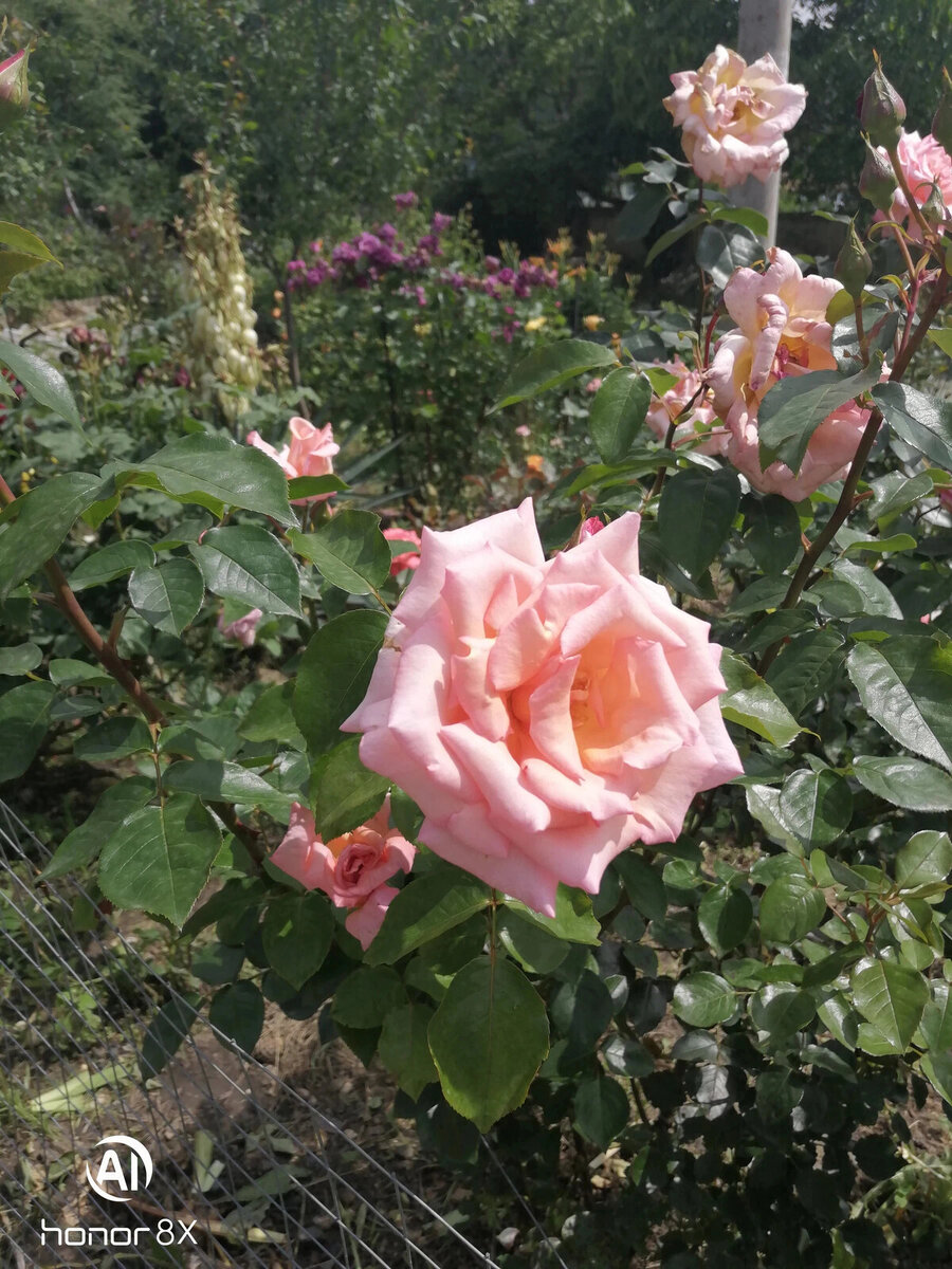 фото Валентины