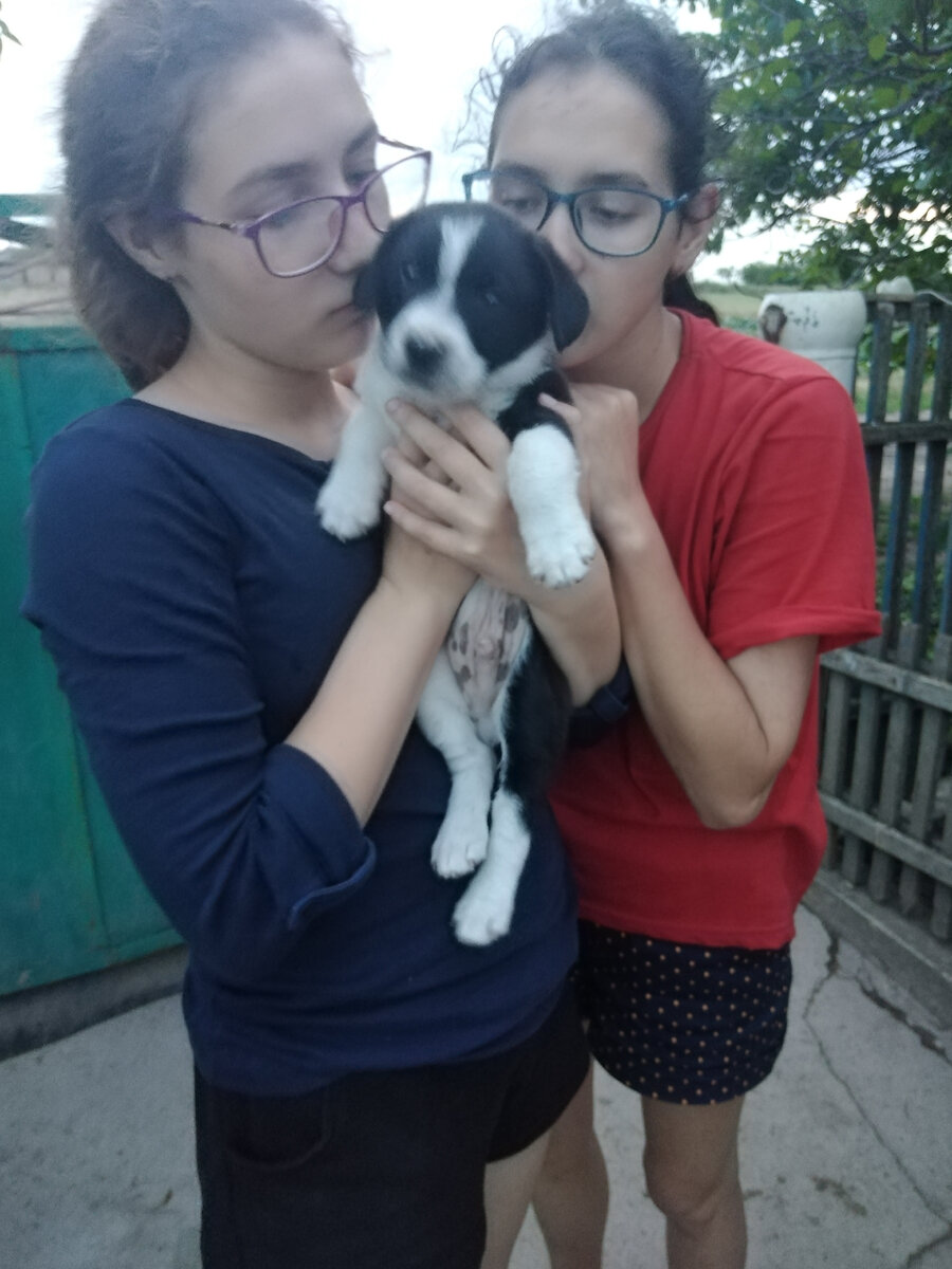 Его все очень сильно любили... А он... 