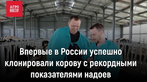 Впервые в России успешно клонировали корову с рекордными показателями надоев