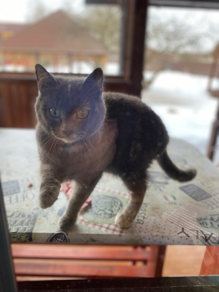 Ну, дайте уже что-нибудь вкусненькое! Везде фото автора.