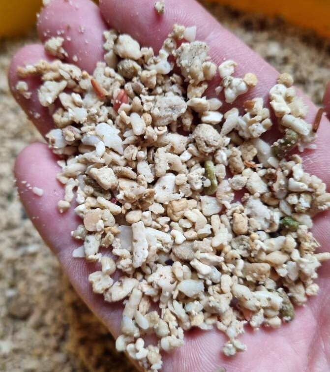 Коралловая крошка, фото интернет 