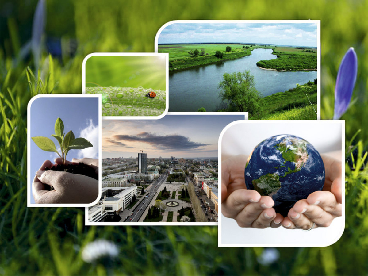 Источник фото : Яндекс картинки Экология России