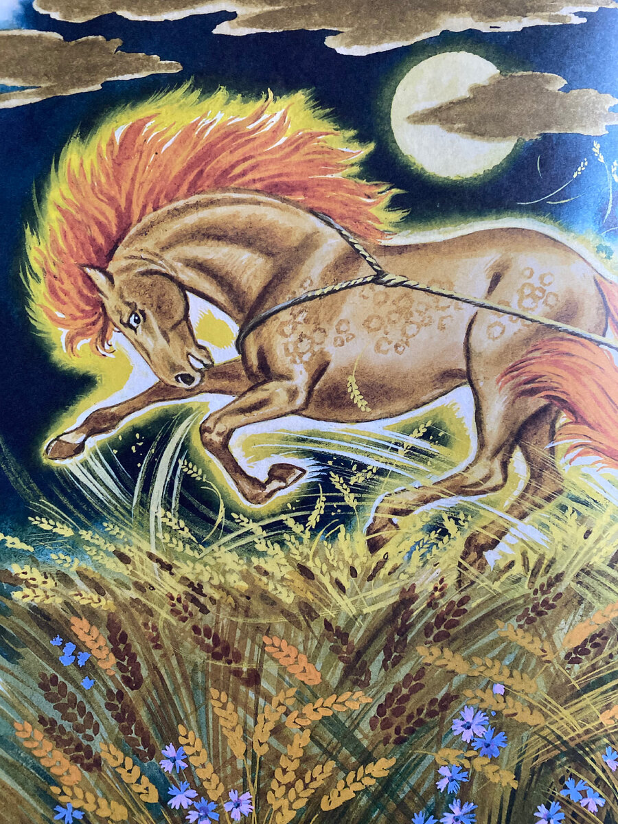 Иллюстрация из нашей книги.