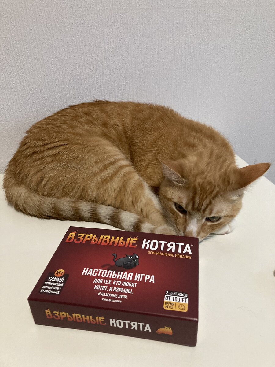 Фото из личного архива.