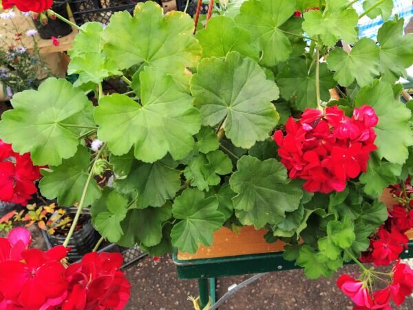    Фото: Екатерина Иванова. UG.RU