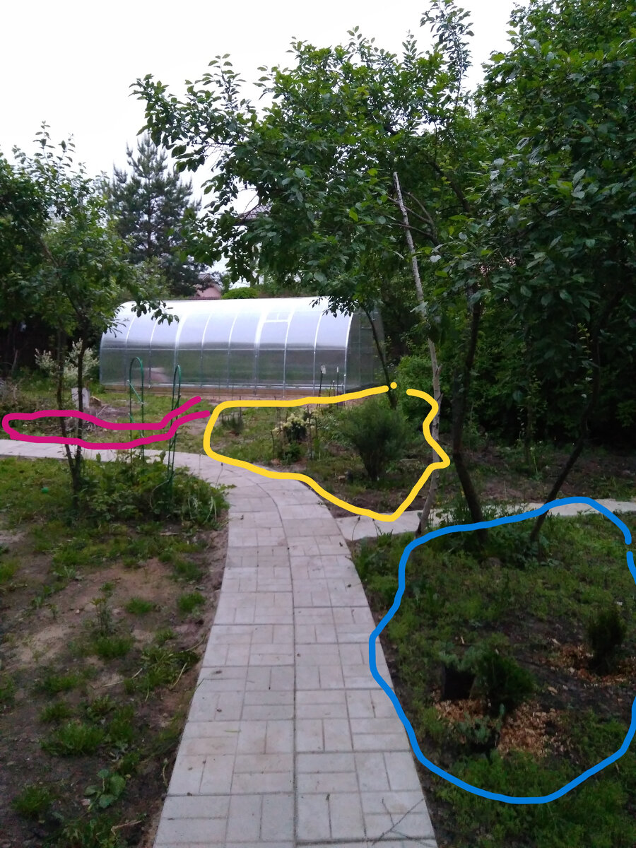 Мой сад 2017 год