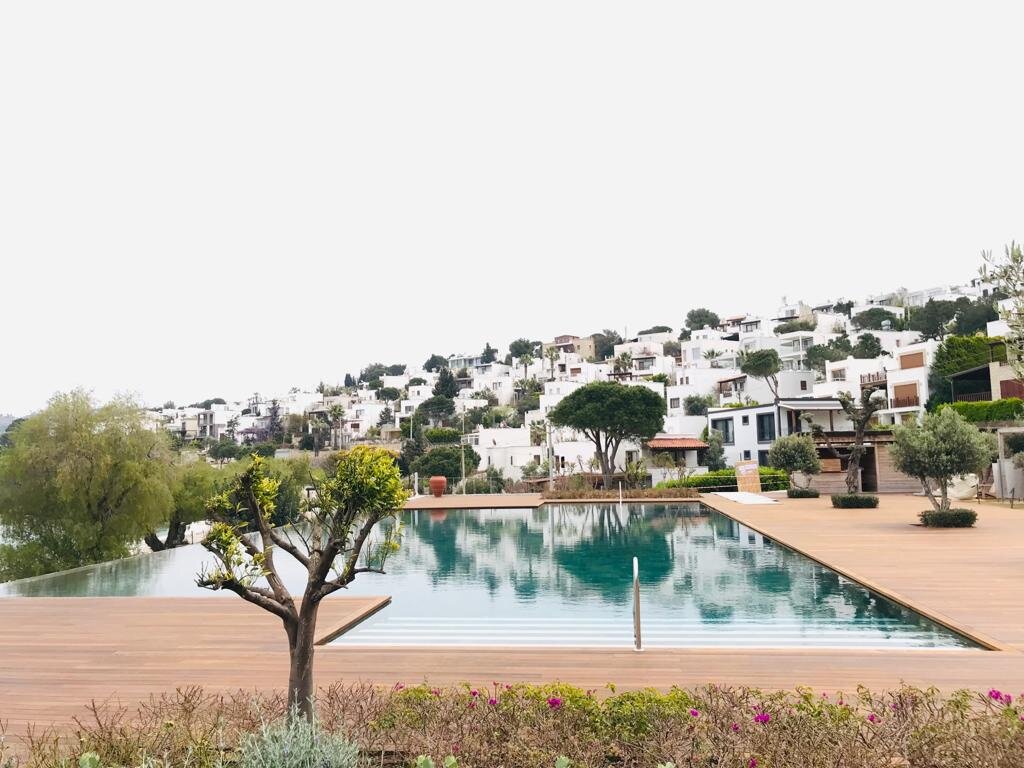 Максимальная защита террас и садовой мебели – под маслом премиум-класса Hemel Teak Oil 🌼