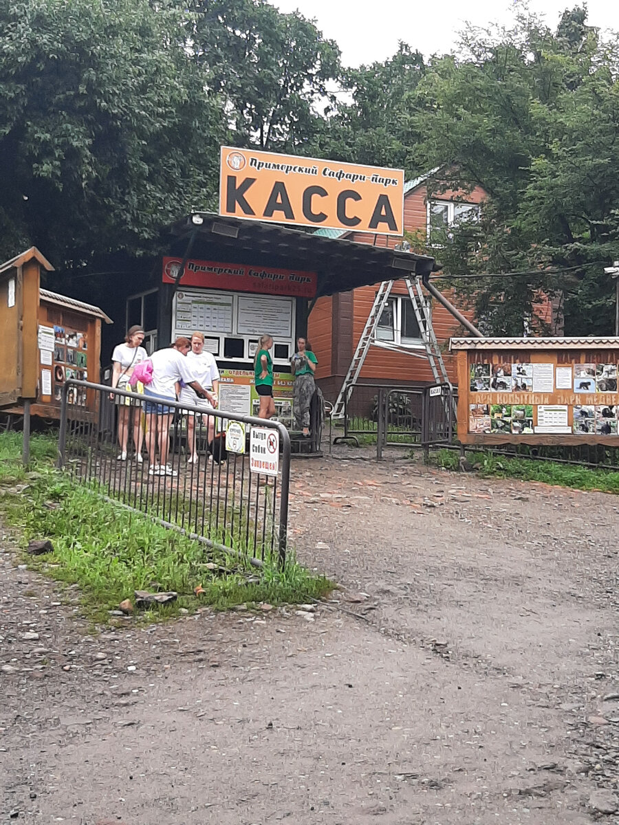 касса