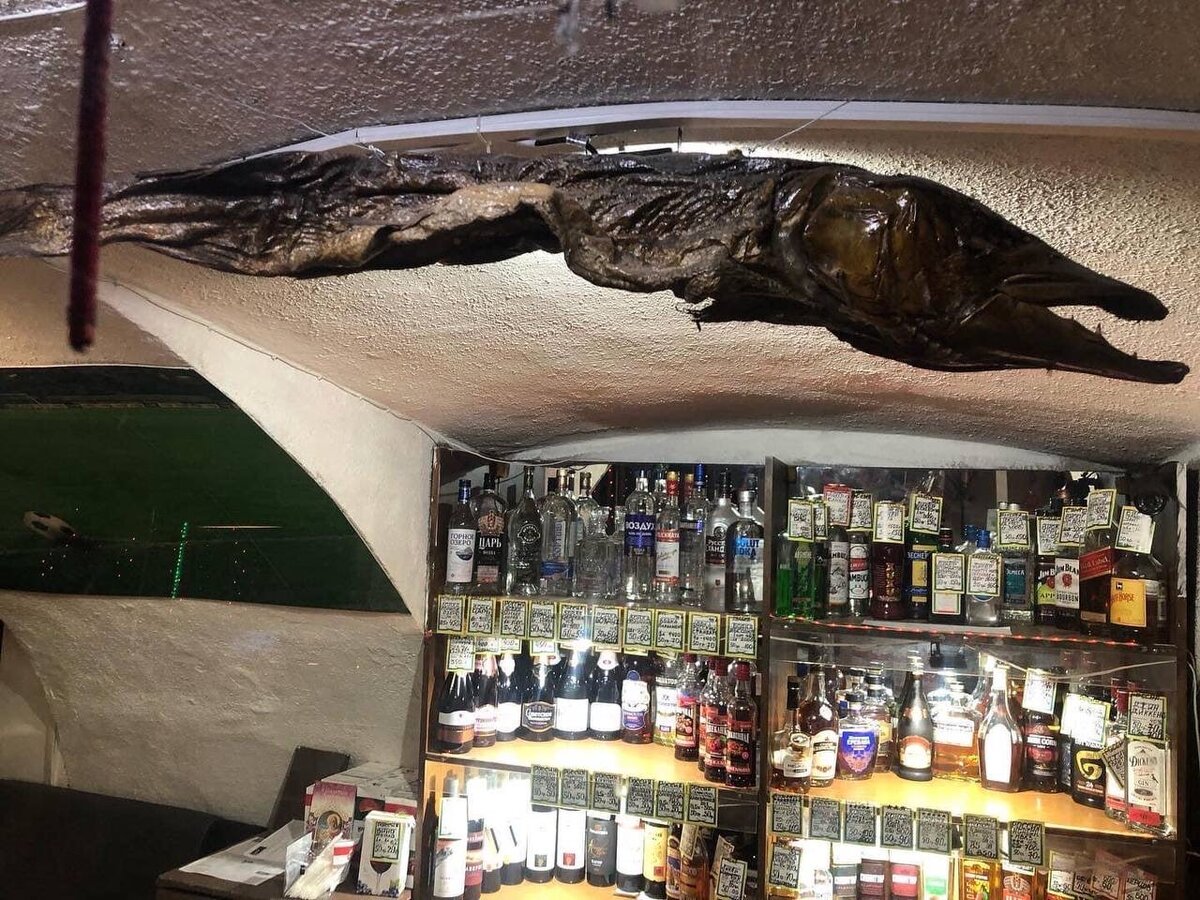Над барной стойкой висит чучело той самой Щуки