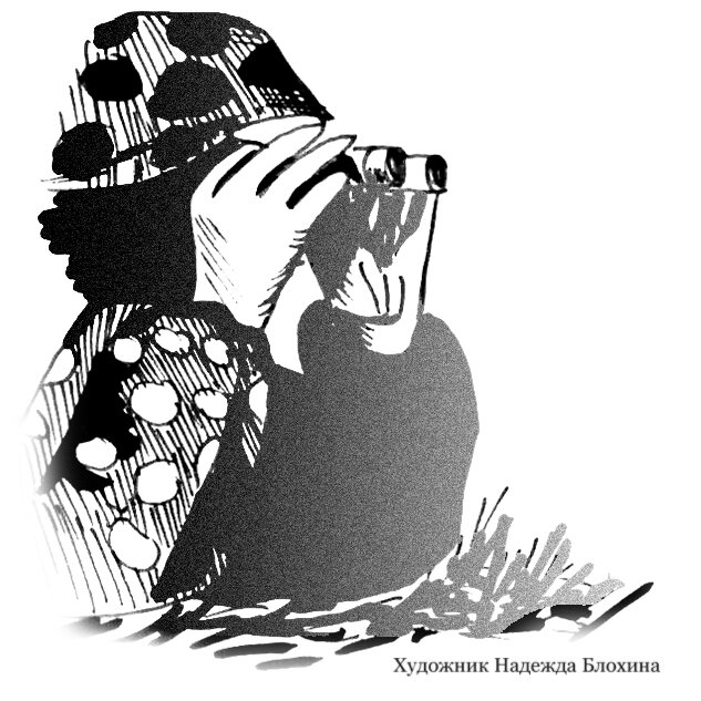 Иллюстрация автора