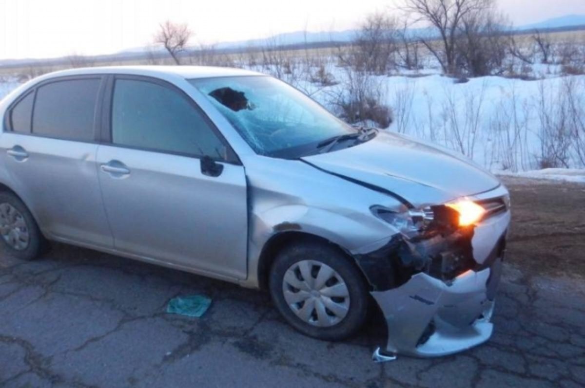     Водитель Toyota Corolla Axio при выполнении обгона совершил наезд на мужчину