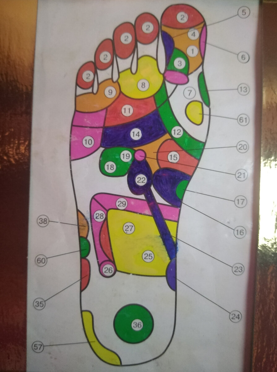 Правая стопа. Фото автора Гармоника