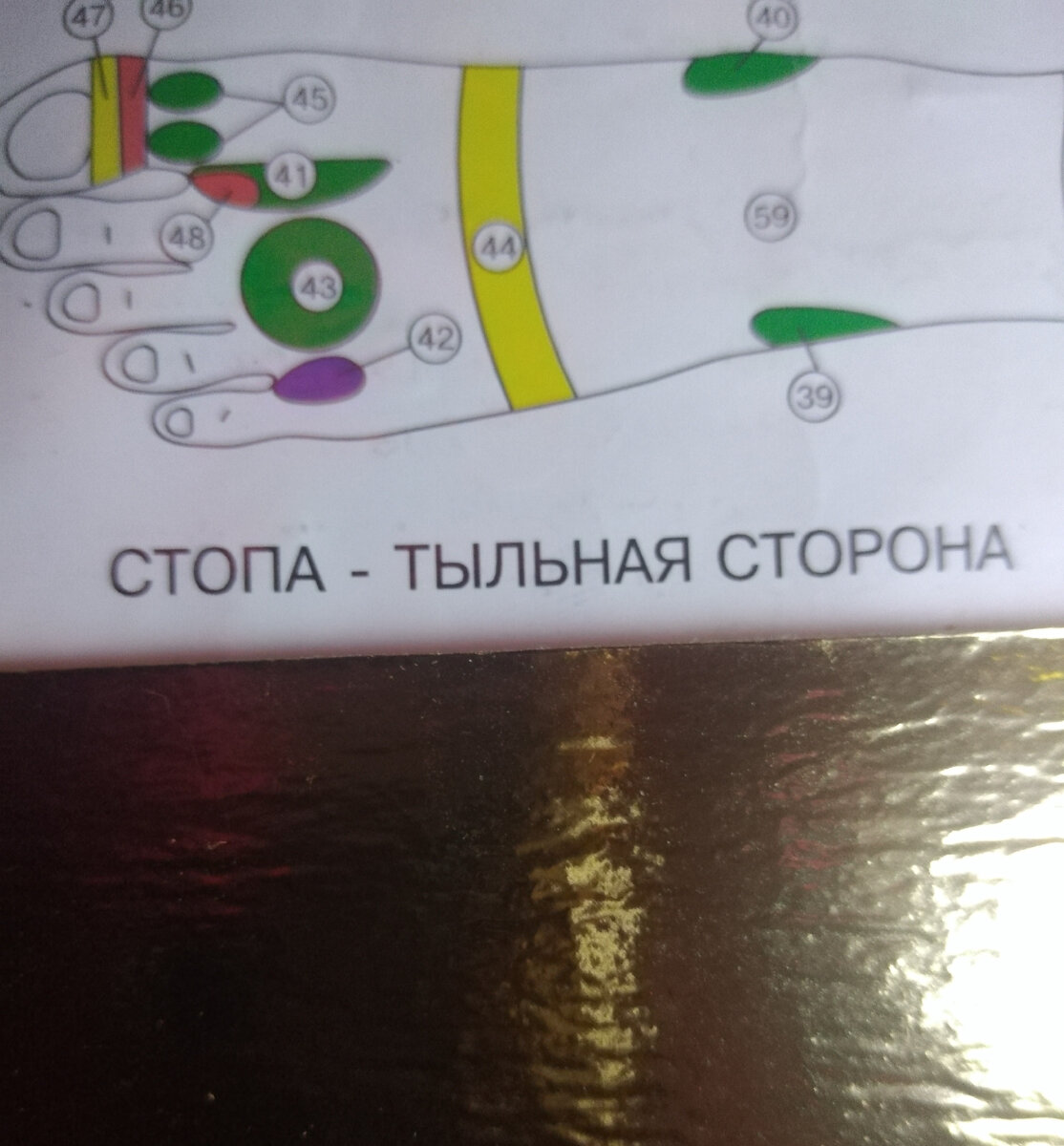 Рефлексные точки тыльной стороны стопы. Фото авторов Гармоника