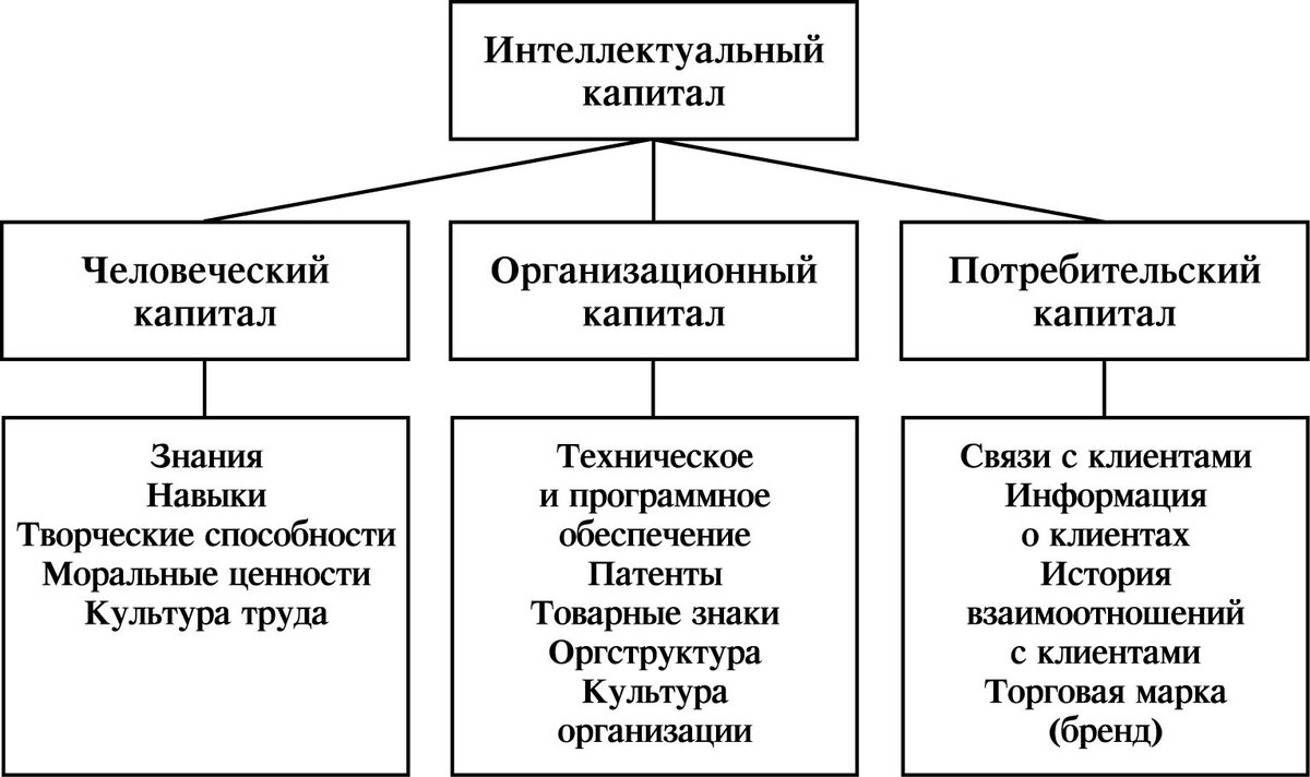 Знания — один ииз составляющих элементов интеллектуального капитала компании Мария  📷
