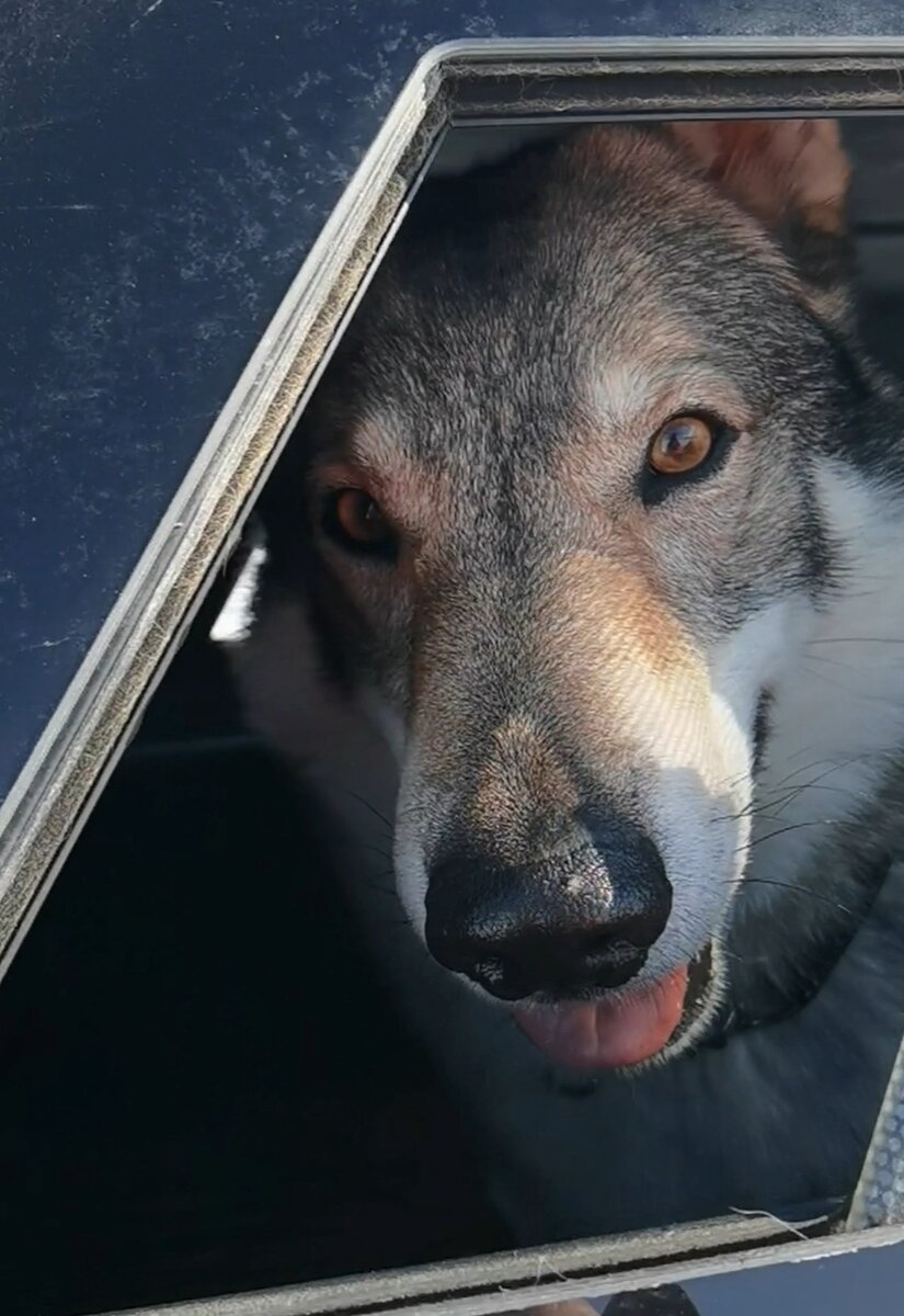 В чём счастье брат? 