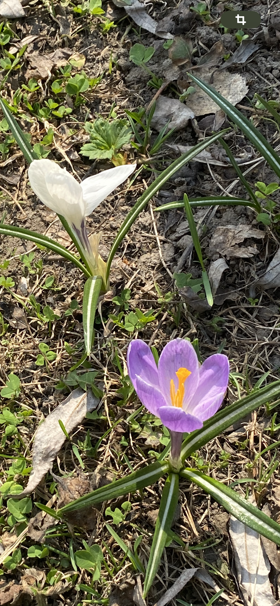 Фото автора. Самый главный базовый рефлекс человека — это жизнь! А вот, как ее прожить должен решить Взрослый Человек сам. 