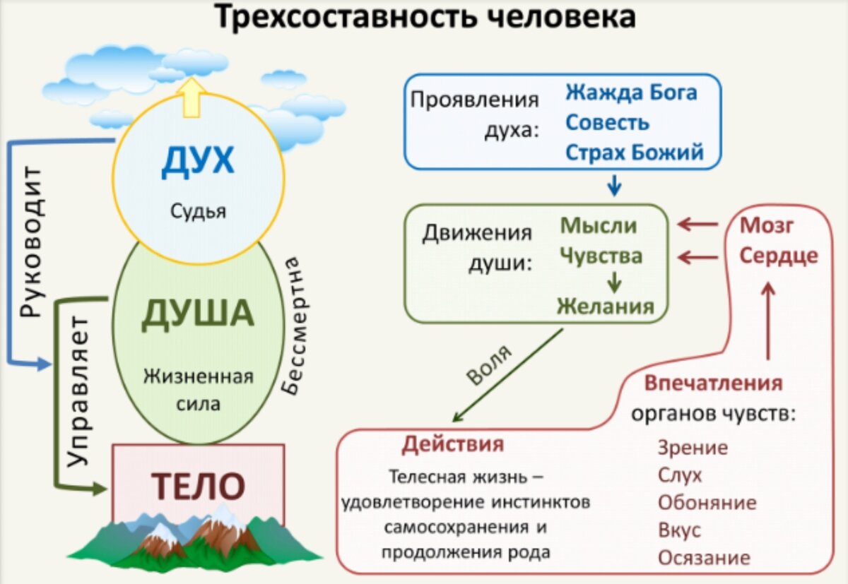 Понятие умами. Триединство человека дух душа и тело. Из чего состоит человек тело душа дух. Тело душа и дух в православии. Дух душа и тело схема.