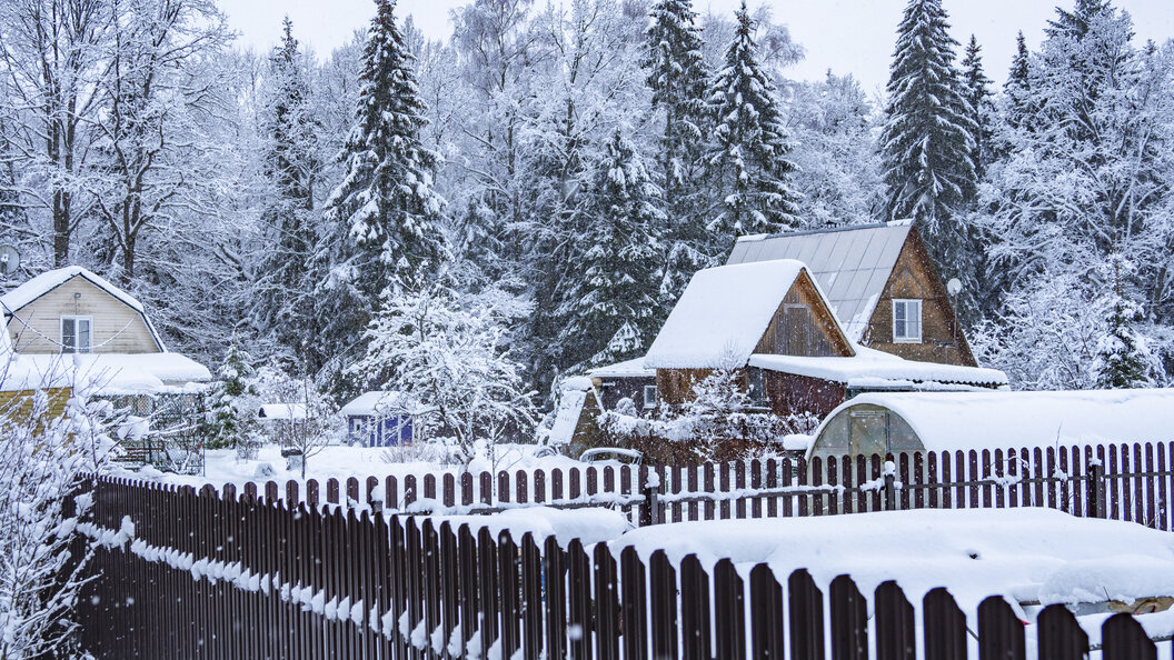    © Konstantin Kokoshkin/Globallookpress