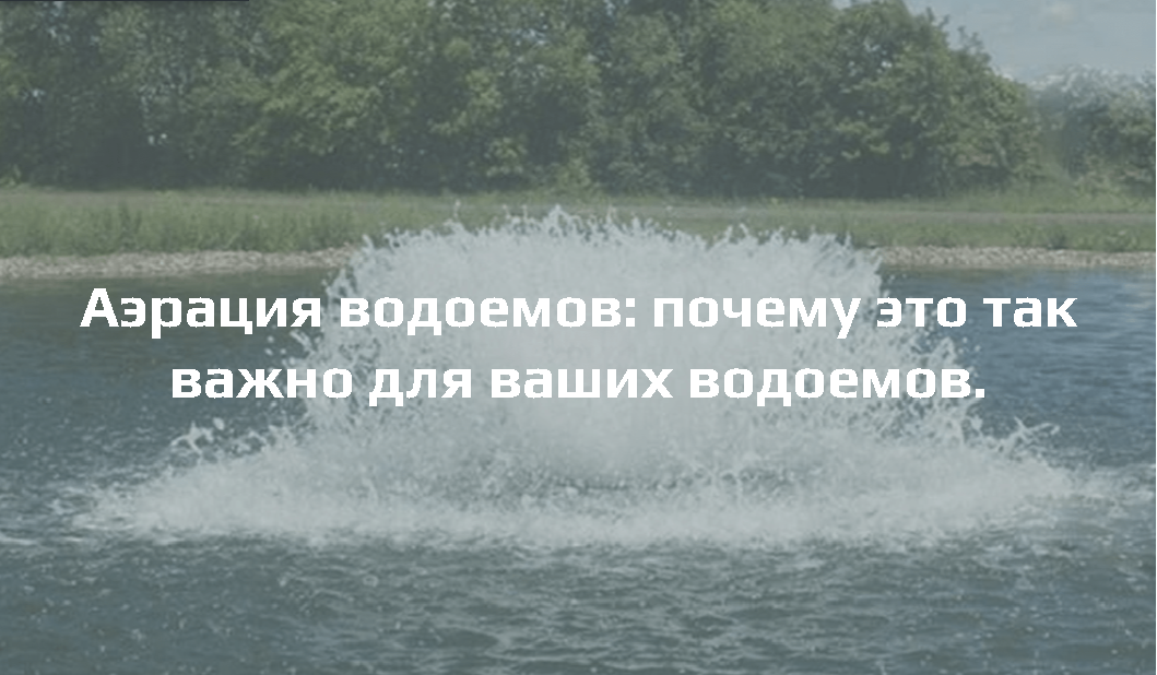 Аэрация прудов и водоемов - важность мероприятия