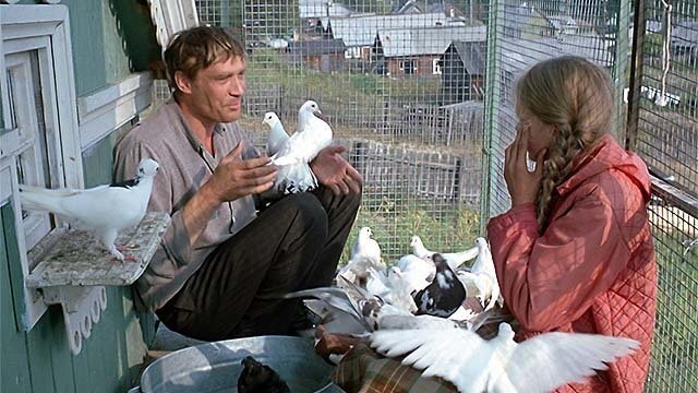 Кадр из фильма "Любовь и голуби". Из открытых источников в интернете.
