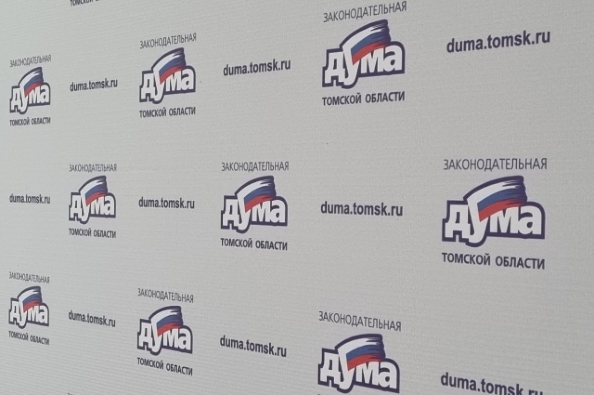    В Закдуме Томской области обсудили меры поддержки семей с детьми