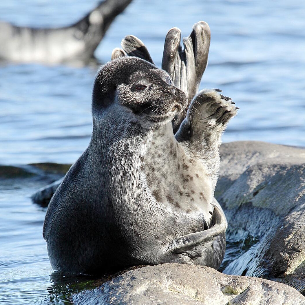 Фото: Михаил Солдатенков