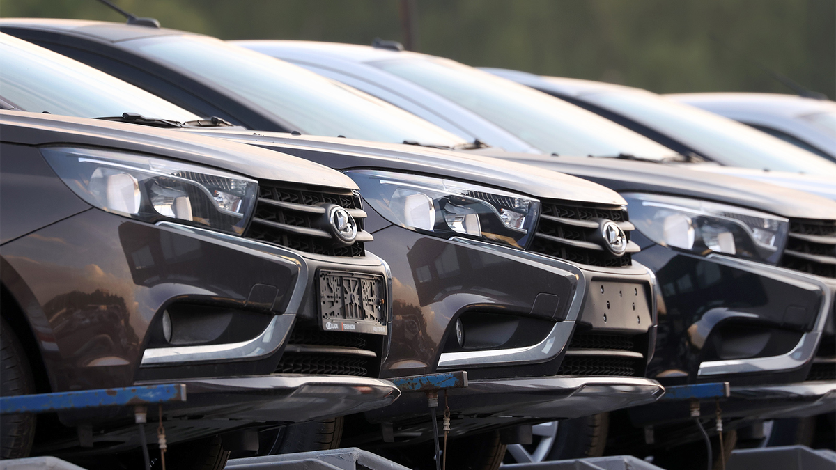 Фото Владимира Гердо / ТАСС  📷
