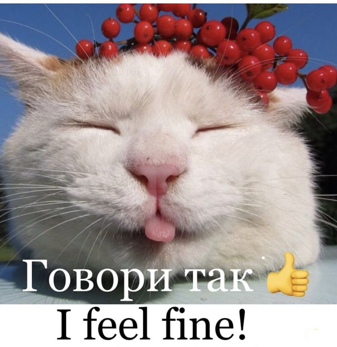 I feel fine!