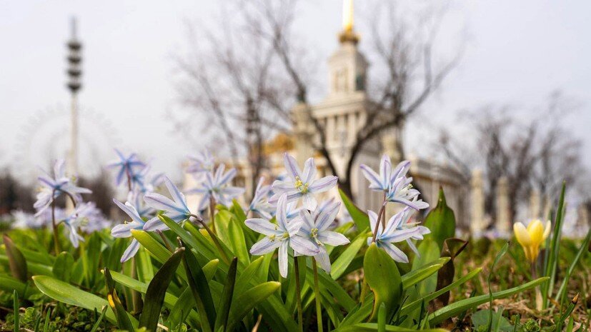    Пресс-служба ВДНХ