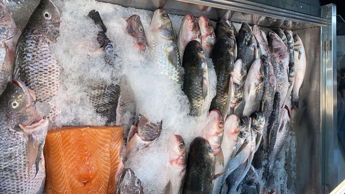 Рыба у нас здесь своя, и она замечательная. 