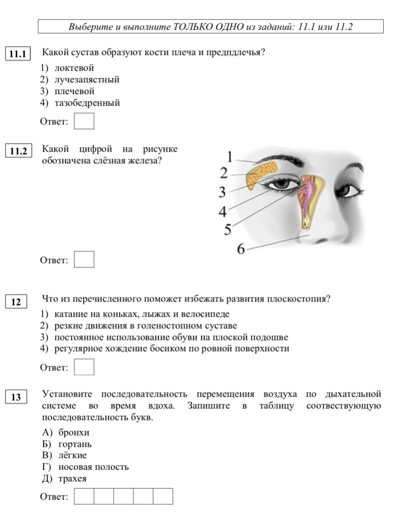 Гдз по английскому языку 4 класс рабочая тетрадь 1 часть биболетова. Гдз английский язык 4 класс рабочая тетрадь страница 4. Учебник по английскому 3 класс 2 часть. Учебники английского языка для начальной школы. Учебники странички по английскому языку.