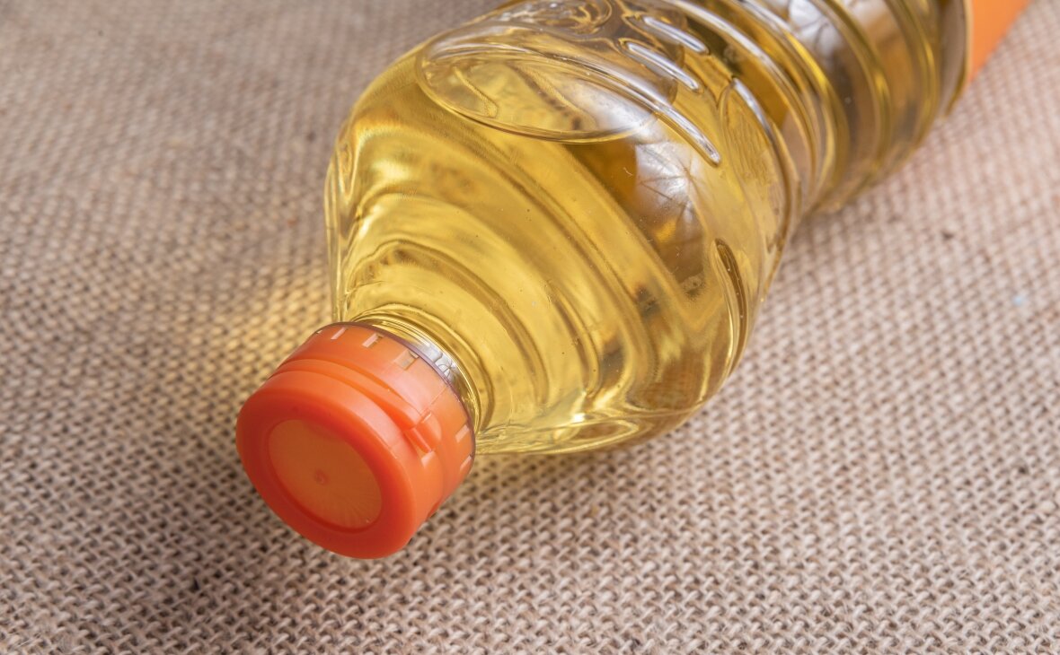 Фото: ru.freepik.com