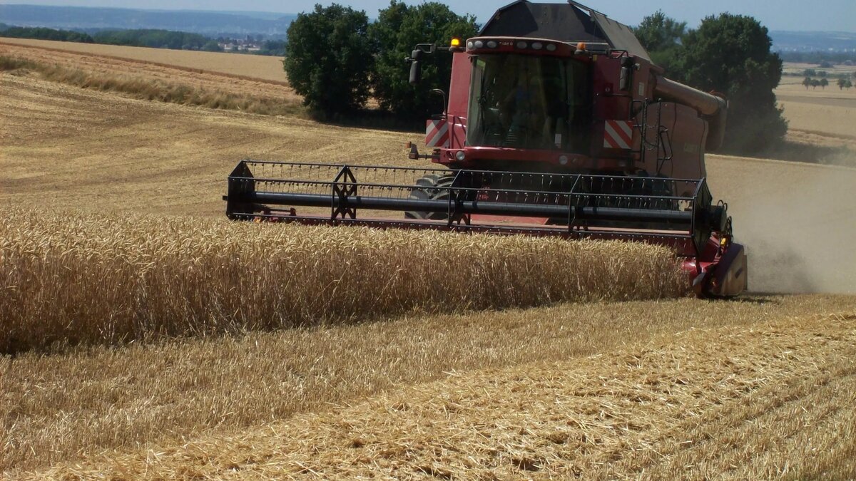     Завод Ростсельмаш подал иск к ООО «Версатайл Украина», чтобы взыскать долги компании с 2011 года, сообщается в картотеке дел Арбитражного суда Ростовской области.