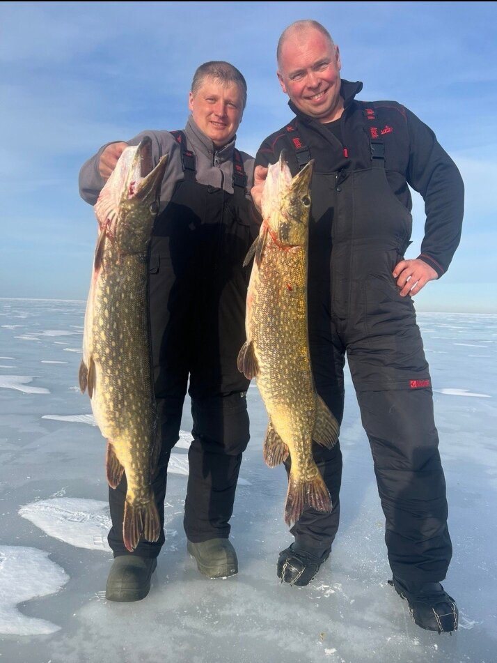 Ладожское озеро🎣Щука на жерлицы🚩 Саня Боцман закрыл сезон по щуке на отлично Вес самых больших рыб 7000гр. и 8000гр. Как Я всегда говорю:-кто умеет, тот и ловит